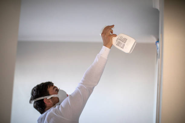 Best Residential Mold Remediation in Roseau, MN